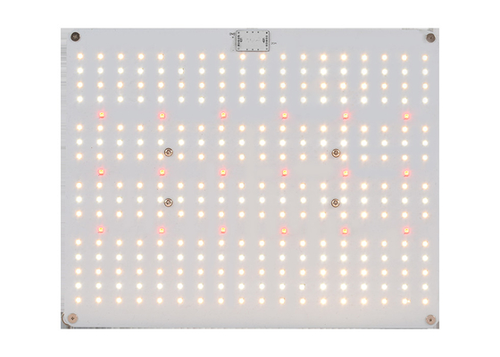 380nm 5000K Quantum Board Led Grow Lights