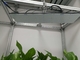 5000lm 3000K Quantum Led Grow Lights For Vegetative Growth