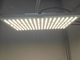 High PPFD CE IP65 Dimmable LED Grow Lights