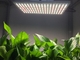 Dimmable 750nm 195x320x10mm LED Grow Lights
