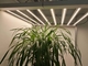 Commercial Grade 2.9umol/J 380nm Horticulture LED Grow Lights