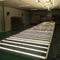 310nm 3000K 600 Watt LED Grow Lights For Indoor Greenhouse